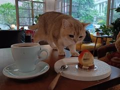 -咖法森林·咖啡  酒吧(天河店)