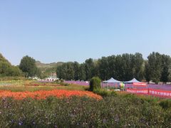 -紫海香堤香草艺术庄园