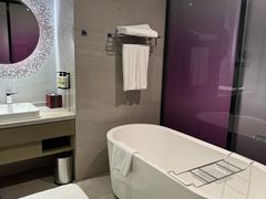 -南京禄口机场雅高铂尔曼大酒店