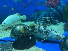 -成都浩海立方海洋公园