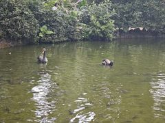 -海南热带野生动植物园