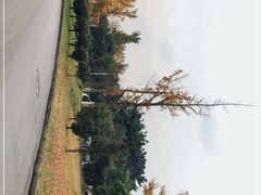 -四川大学(江安校区)