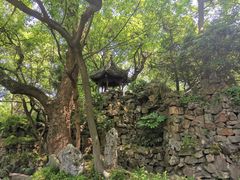 -绮园景区