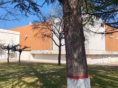 -思念果岭湖畔花房餐厅