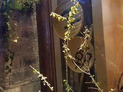 -品腐记·豆腐王朝(老门东总店)