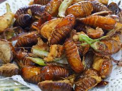 -吉味馆(柠溪店)