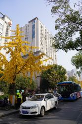 -杭州复旦儿童医院·语言发育迟缓·自闭症干预·注意力训练