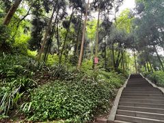 -青城山