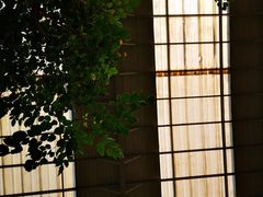 -御龙温泉度假村
