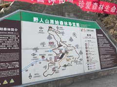 -栾川竹海野生动物园