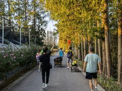 -前小桔亲子创意农场·草莓采摘·露营烧烤