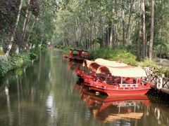 -合肥滨湖国家森林公园
