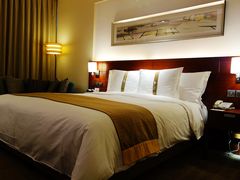 DSC02110-上海浦东康桥绿地假日酒店