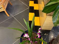 -雲际仙境足浴·影院式·养生·SPA(火车站店)