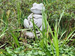 -那考河湿地公园