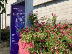 -天津美术学院-校史馆