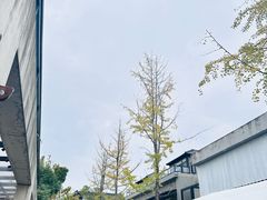 -苏州本色美术馆
