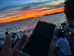 -宝安西湾红树林湿地公园