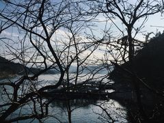 -千岛湖东南湖区