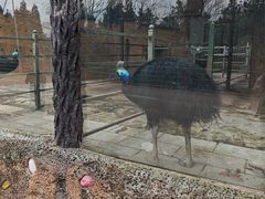 -贵州森林野生动物园