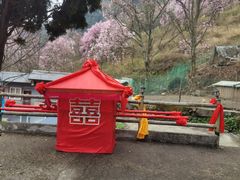 -九皇山景区