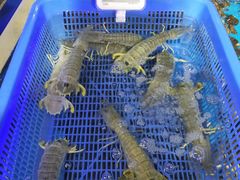 -盒马鲜生(岭南新世界店)