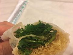-丁老爷子苏香圆