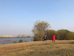 -盘龙城国家考古遗址公园