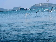 -银沙滩浴场