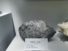 -湖南省地质博物馆