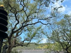-普陀山风景名胜区-法雨禅寺