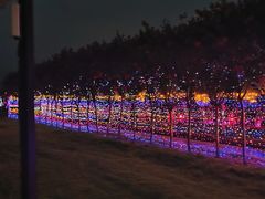 -武汉紫薇都市田园