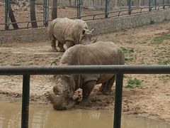 -大连森林动物园