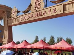 -金塔沙漠胡杨林景区