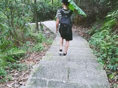 -火炉山森林公园