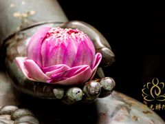 -臻江南影院式足道(雅安店)