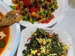 -煲来饱去冷水鱼