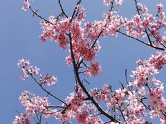 -龟山风景区-龟山电视塔