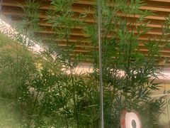 -桂小厨广西菜(青秀万达店)