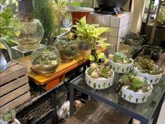 -弗劳尔花艺坊(龙涛店)