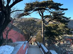 -妙峰山风景名胜区