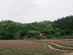-常德桃花源景区
