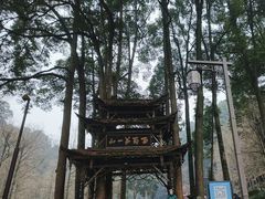 -青城山