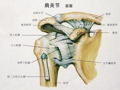 -裕和堂中医推拿艾灸(太古汇臻品店)