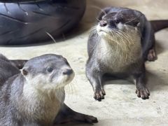 -太平洋海底世界