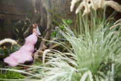 -北京燕尔婚礼策划