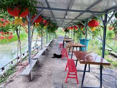 -同銮特种养殖场·龙虾垂钓