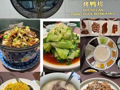 -羲和雅苑•北京烤鸭(乐园道万象城店)