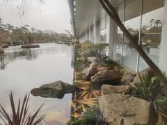 -罗红摄影艺术馆