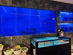 -忆江南·临江鱼馆